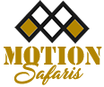 motion-safari-logo.